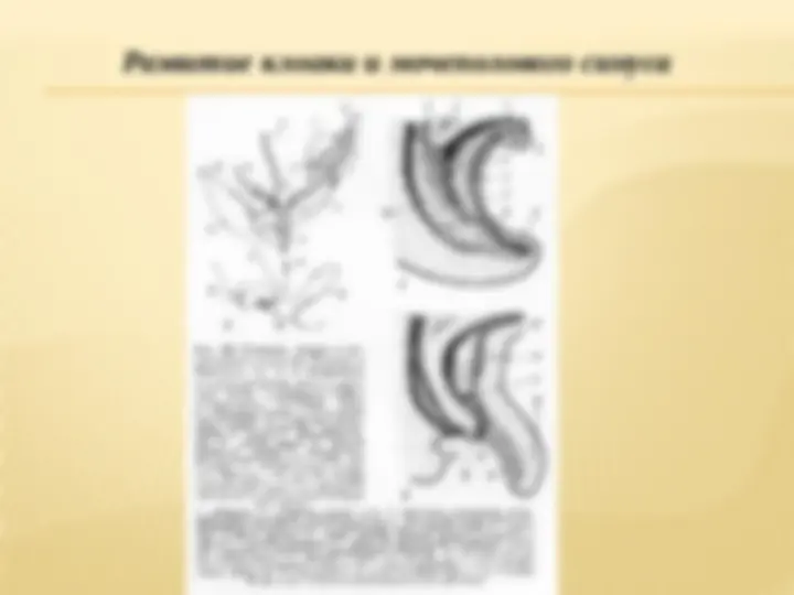 pf4