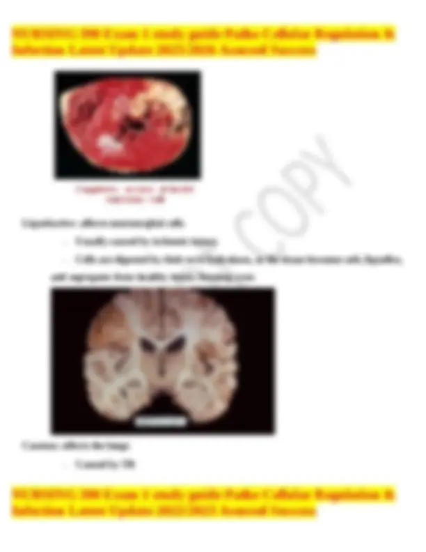Liber Patho NURSING 390 Exam 1 Study Guide: Patho Cellular Regulation & Infection ...