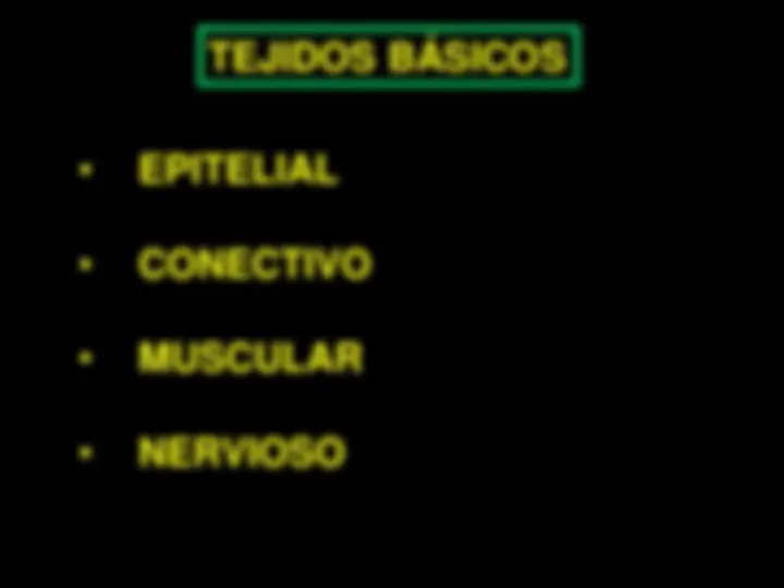 pf5