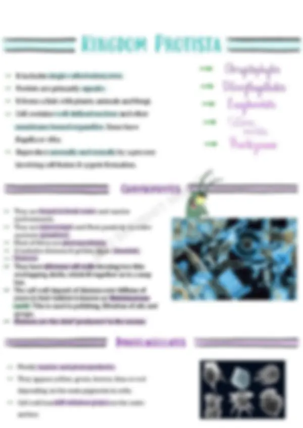 pf8