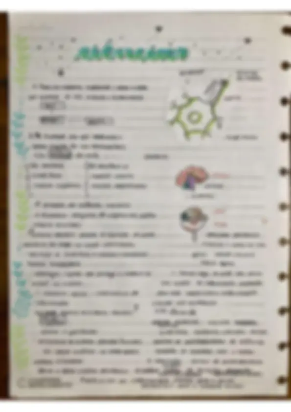 pf3