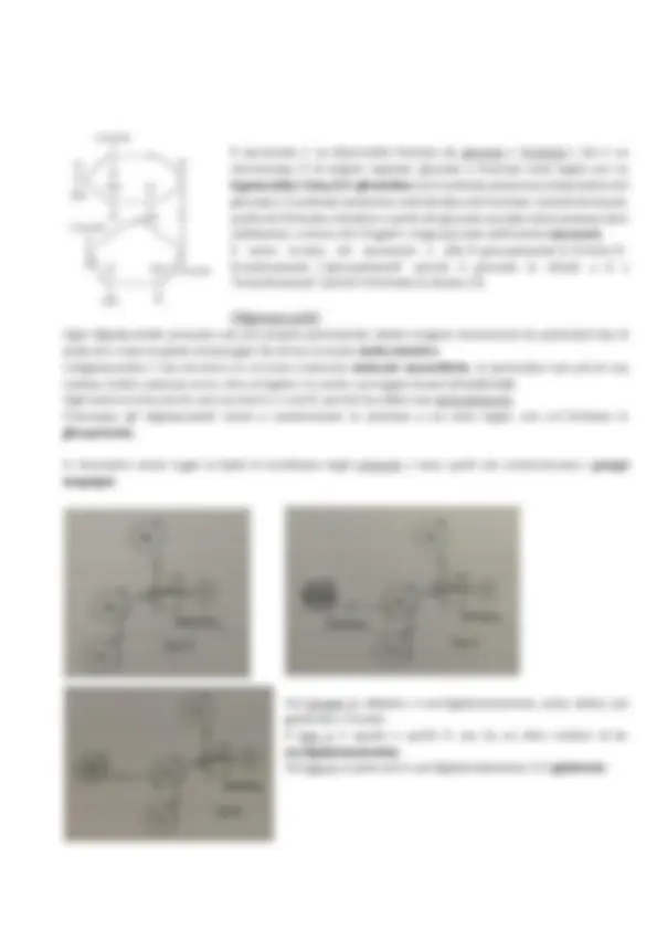 pf34
