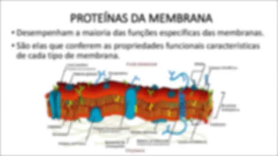 pf19