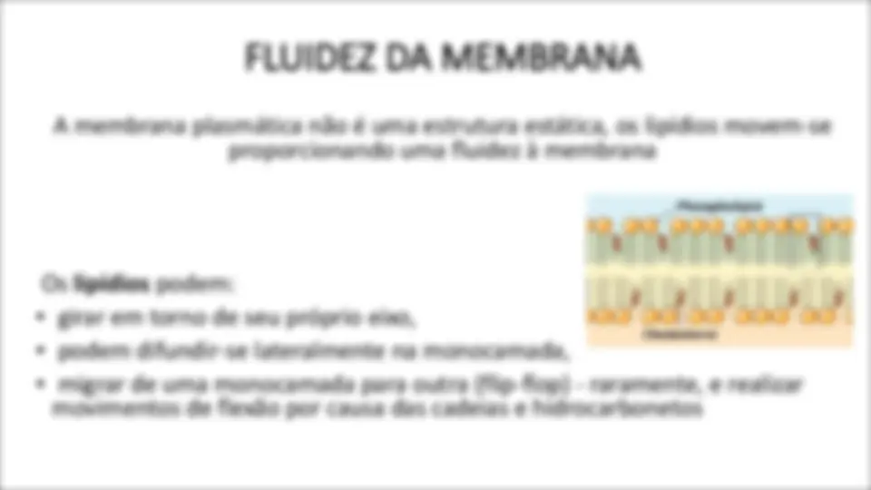pf17