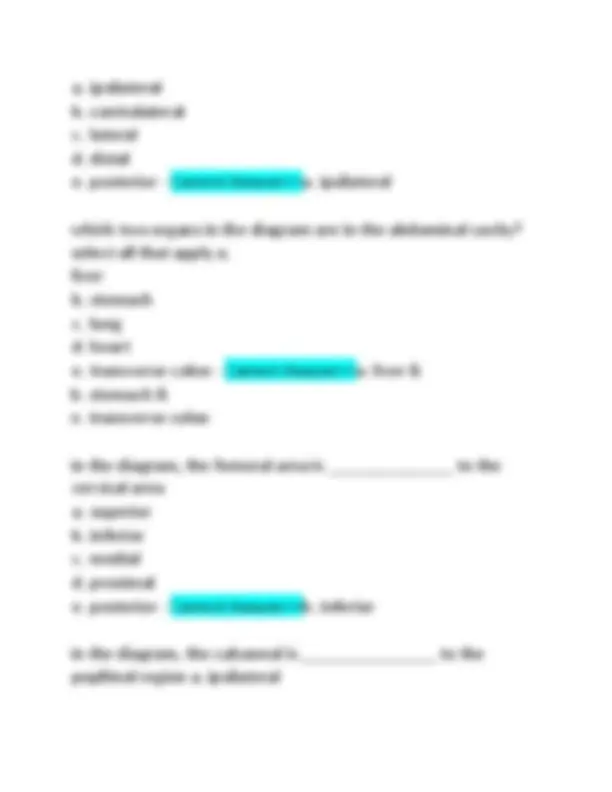 Anatomy & Physiology Chapter 1 Test Bank: Latest 2025 Exam Questions ...