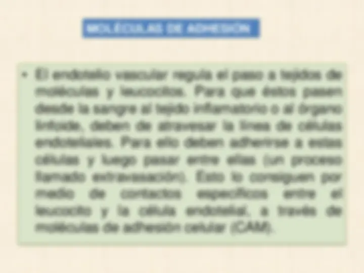pf16