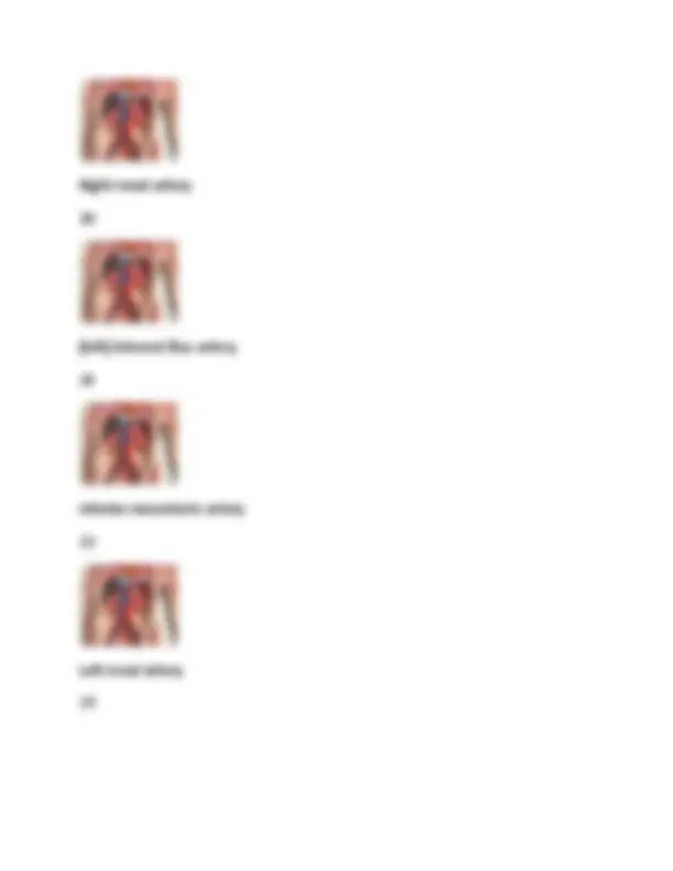Bio-202 Lab Exam 2: Anatomy and Physiology Questions and Answers ...