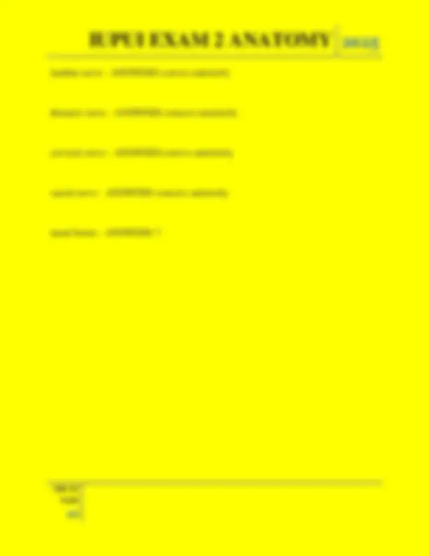 IUPUI EXAM 2 ANATOMY QUESTIONS AND ANSWERS 2025 | Exams Nursing | Docsity