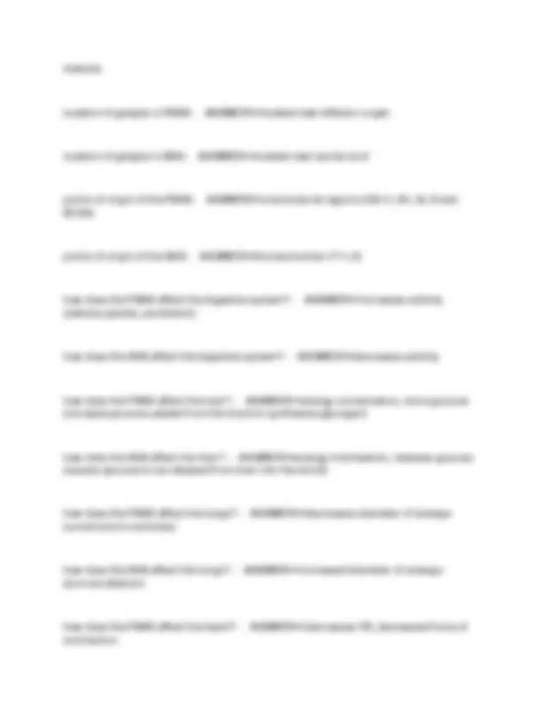 Nervous System Anatomy Exam Study Set: Comprehensive Guide with ...