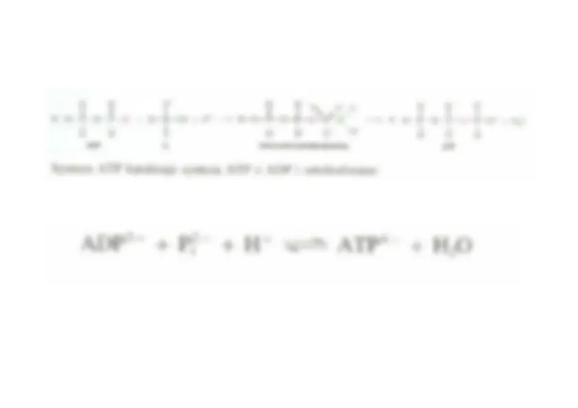 pf1b