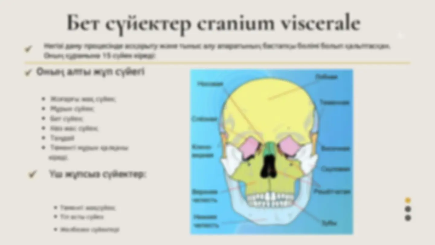 Ресейлік порно жұлдыздар