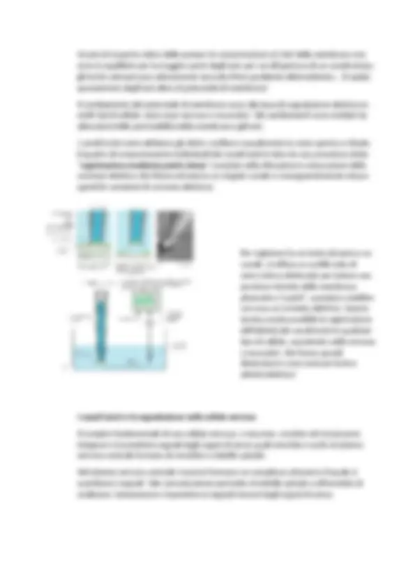 pf26