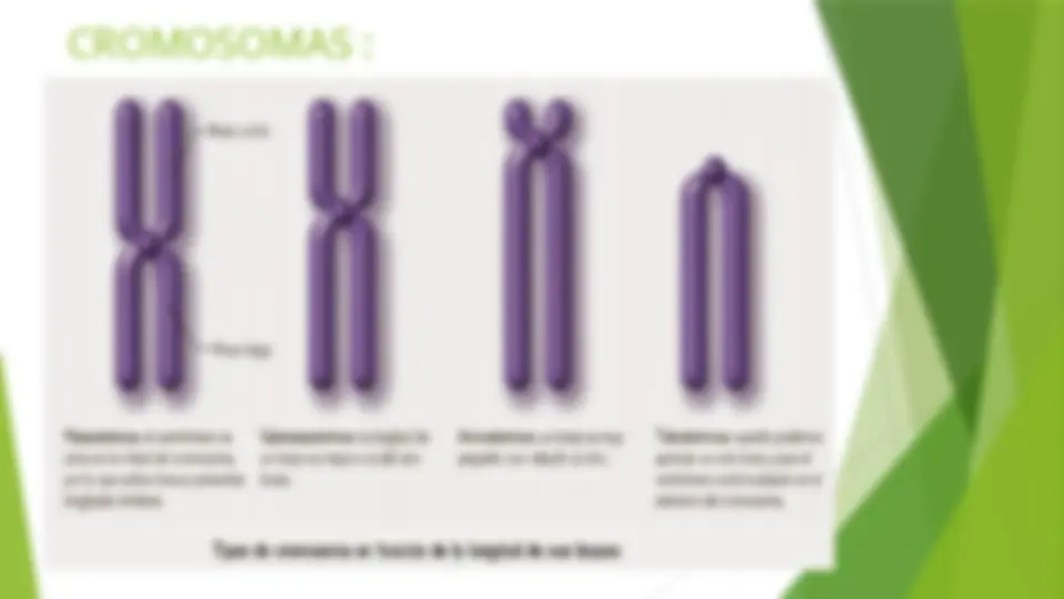 pf32