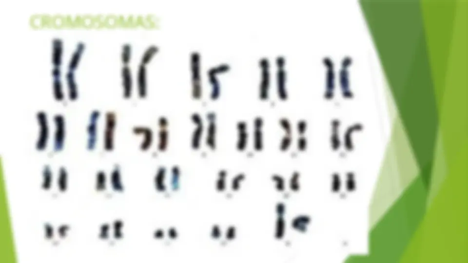 pf34