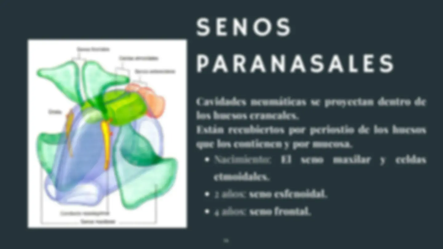 pfe