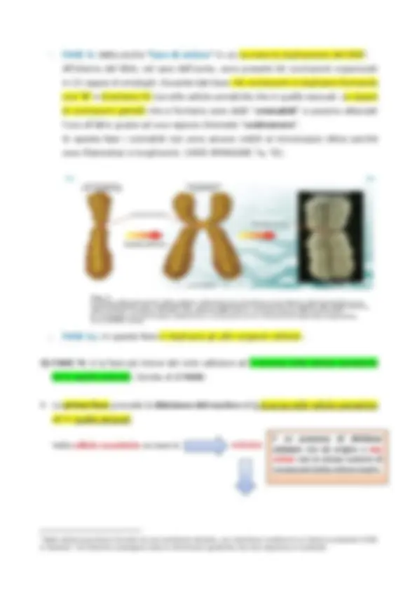 pf5
