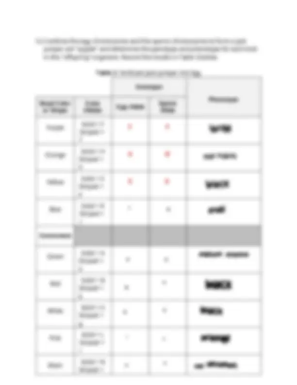 BIO 101 Lab 09: Mitosis and Meiosis Worksheet comprehensive and updated ...