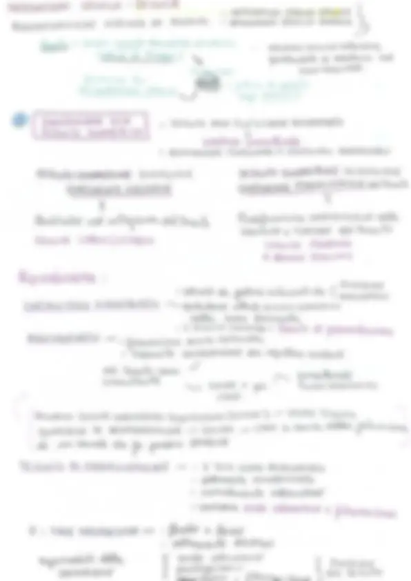 pf31