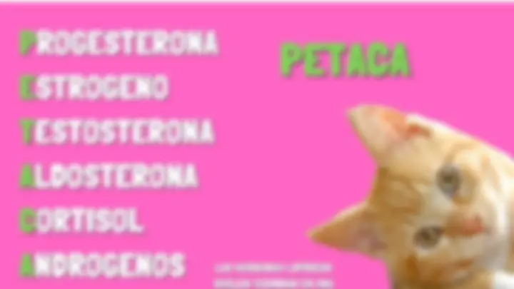 pf1f