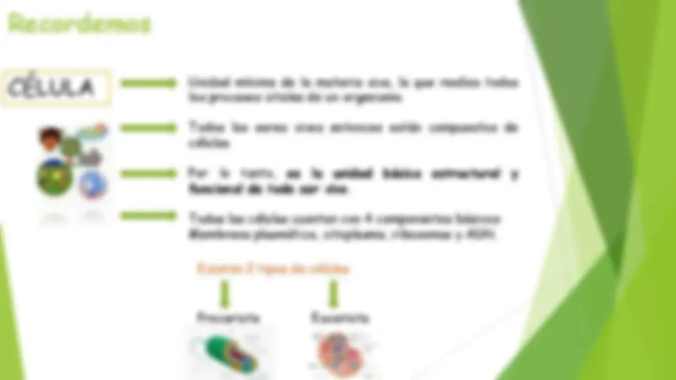 pf4