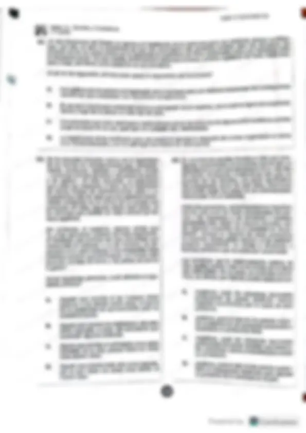 pf19