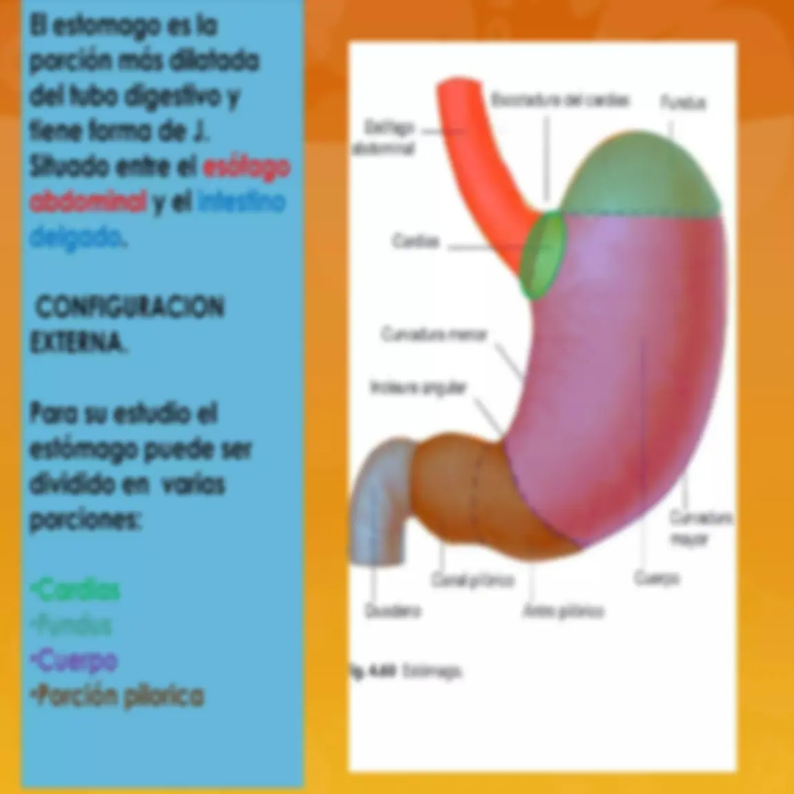 pf3