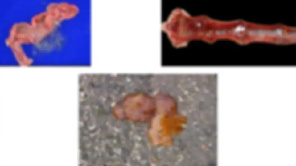pfa
