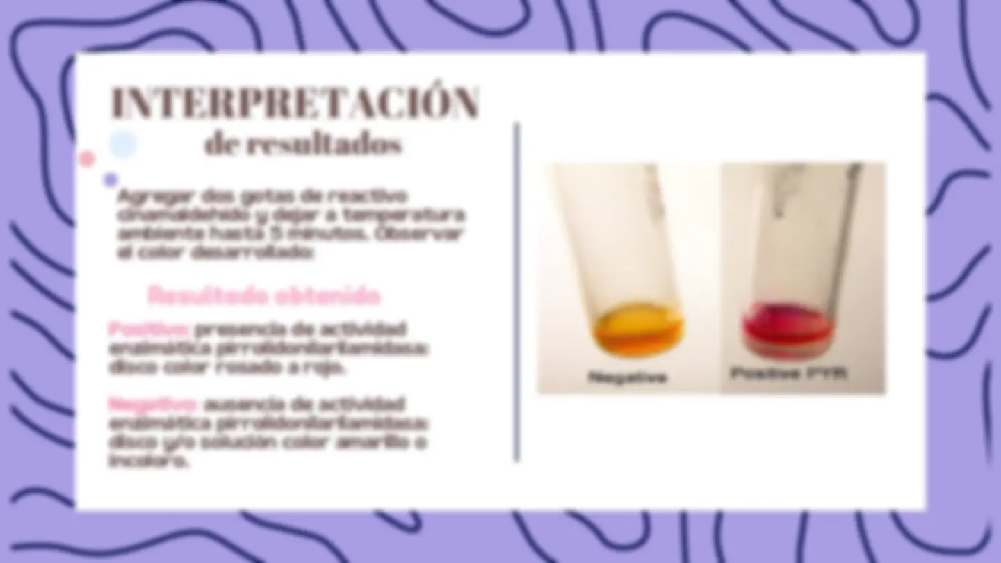 Pyr Micro La Prueba De PYR Para Bacteriologia | Summaries Chemistry | Docsity