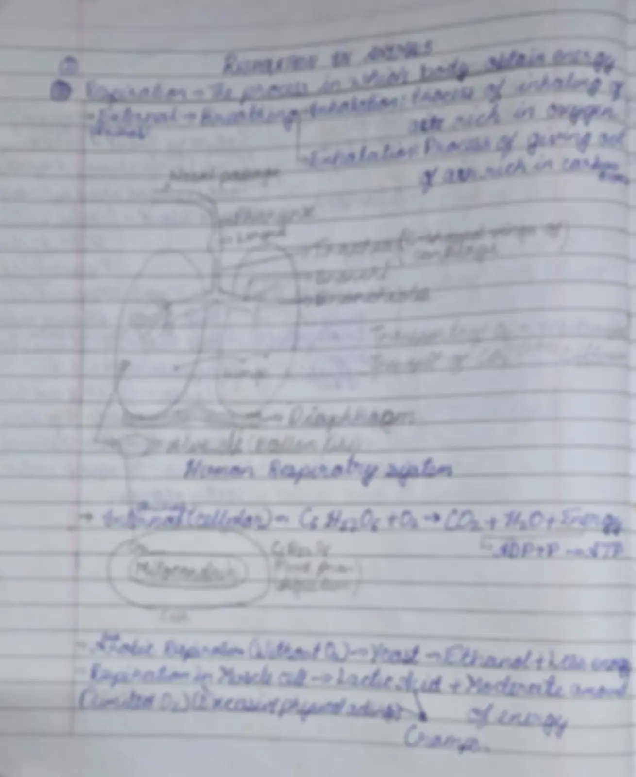 pf4