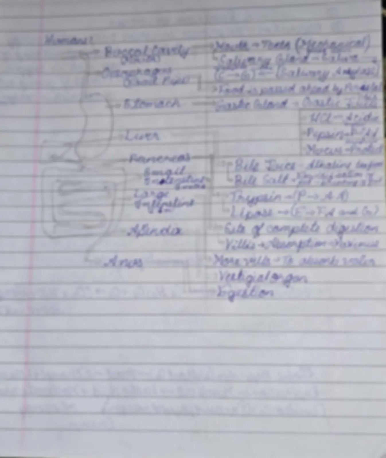 pf3