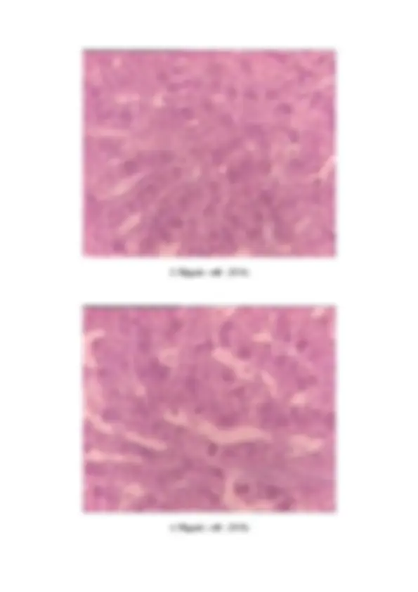 pf30