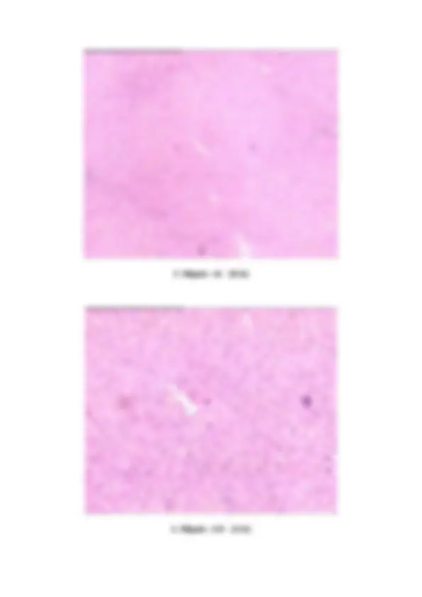 pf31