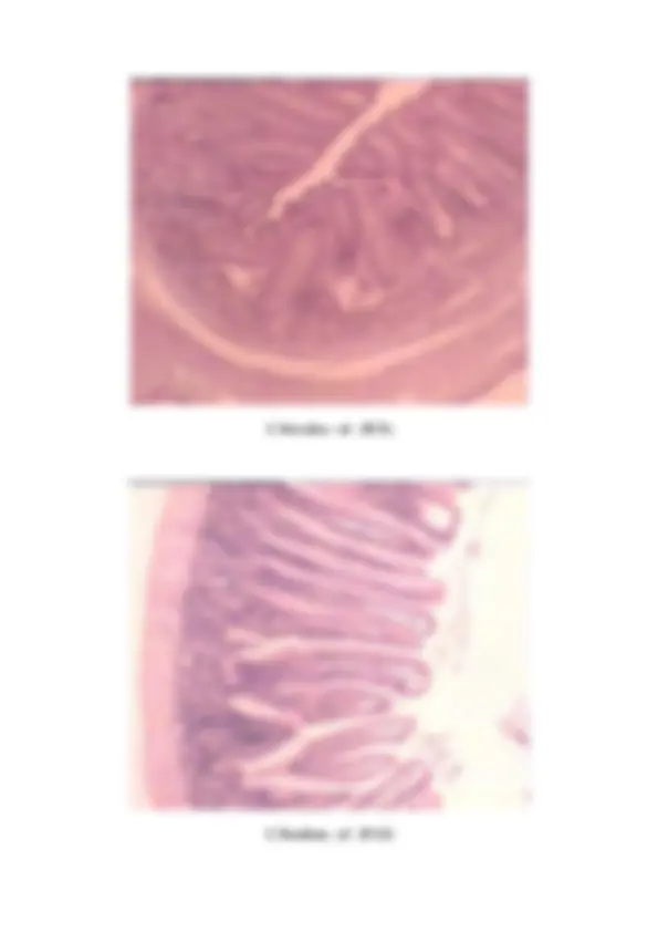 pf29