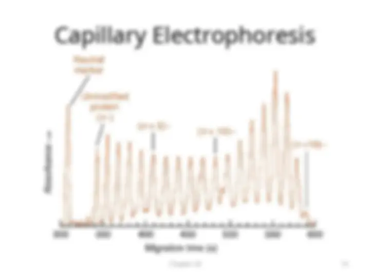 pf13