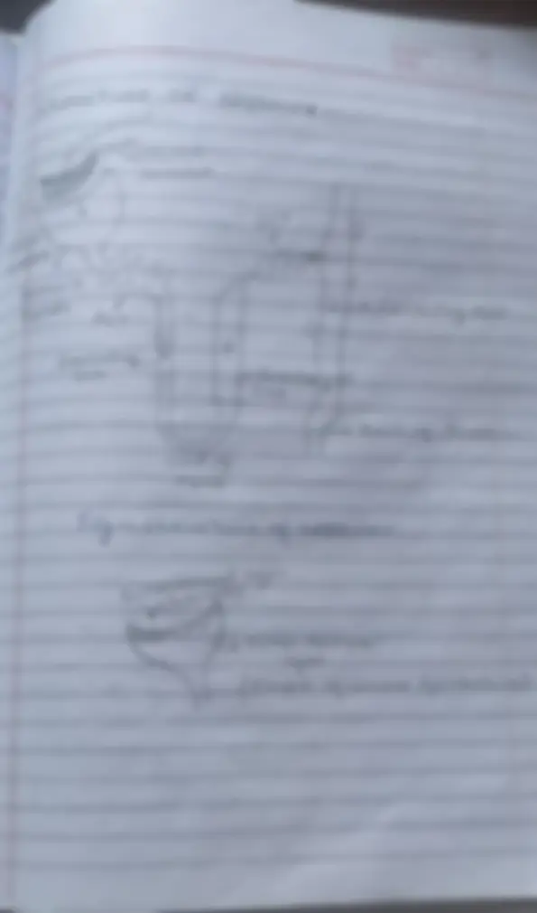 pfa