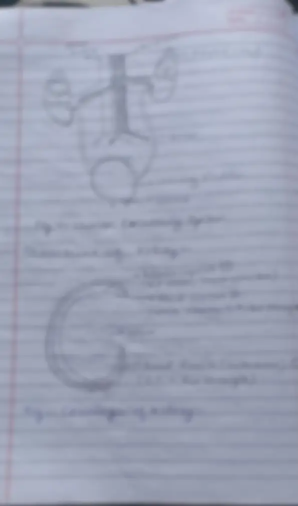 pf5