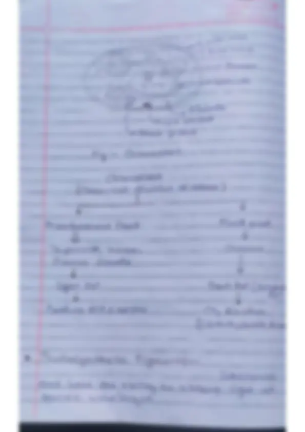 pf8