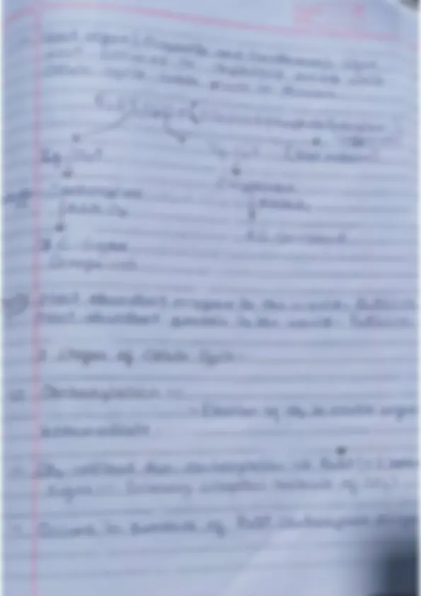 pf1d