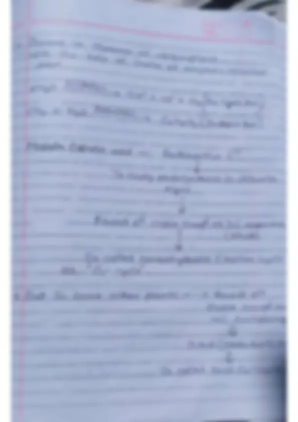 pf1b