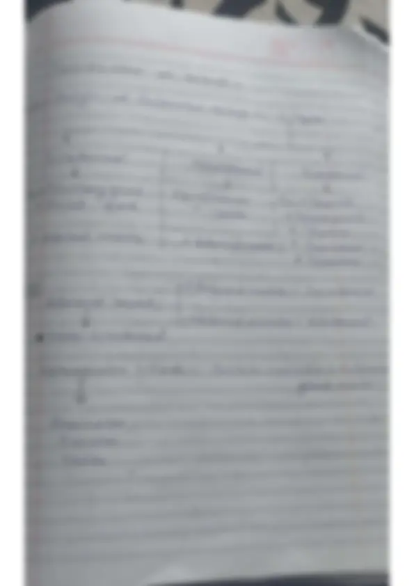 pf12