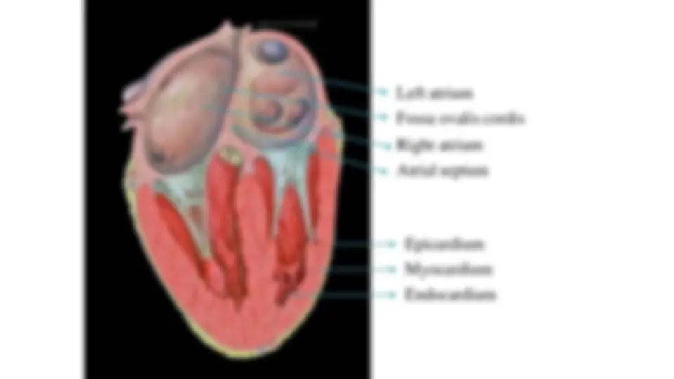 pf33