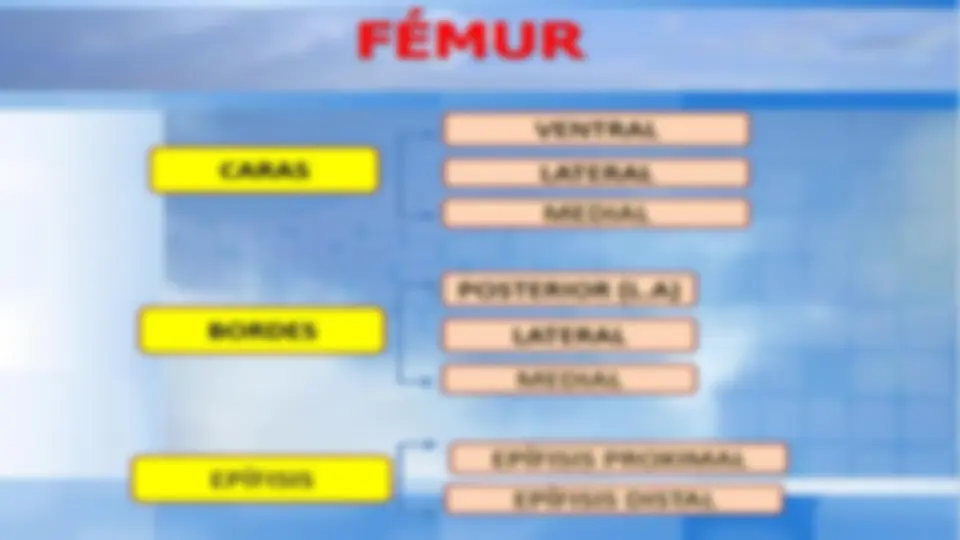 pf18