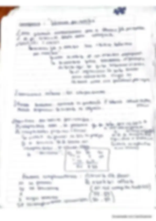 pf19