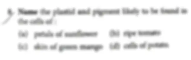 pf4