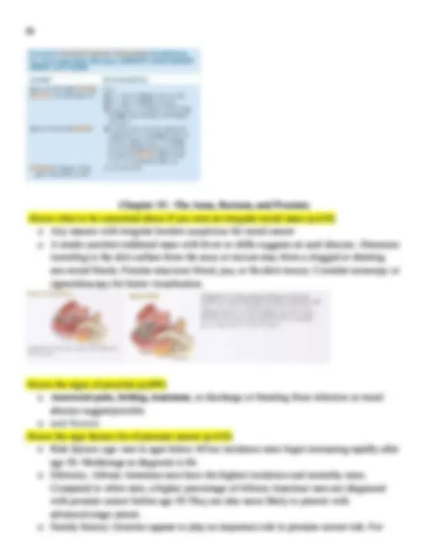 NR 509 Final Exam Study Guide (Version 1) Advanced Physical Assessment ...