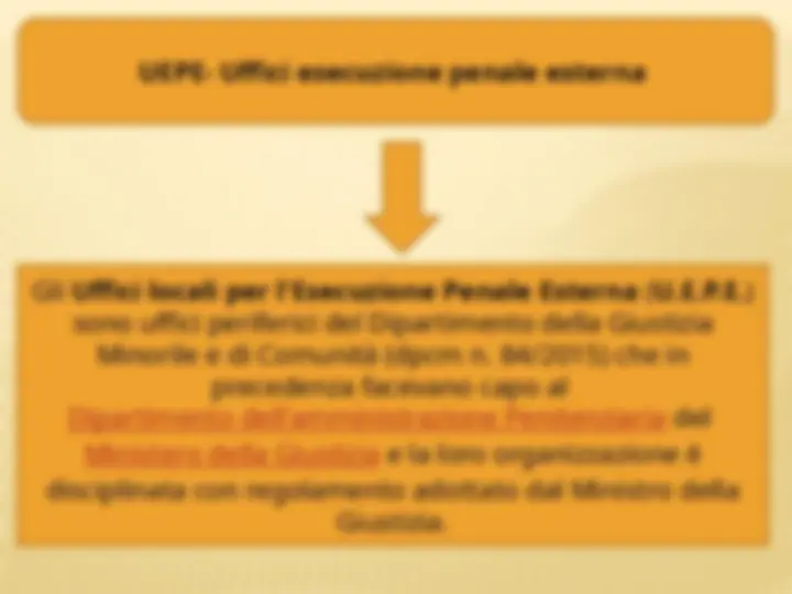 pf19