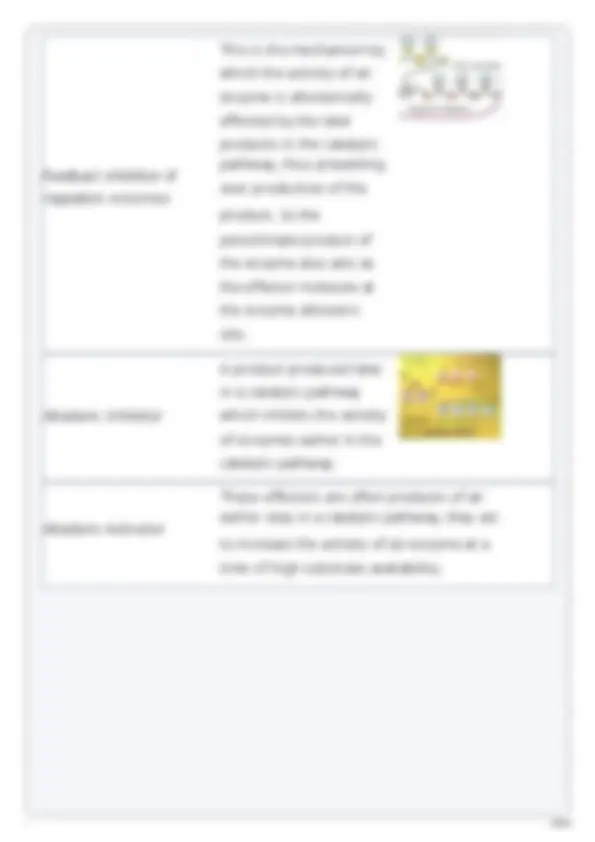 USABO USA BIOLOGY OLYMPIAD PREP GUIDE 2025-2026 TEST | Exams Biology ...