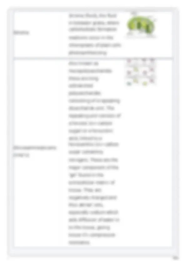 USABO USA BIOLOGY OLYMPIAD PREP GUIDE 2025-2026 TEST | Exams Biology ...