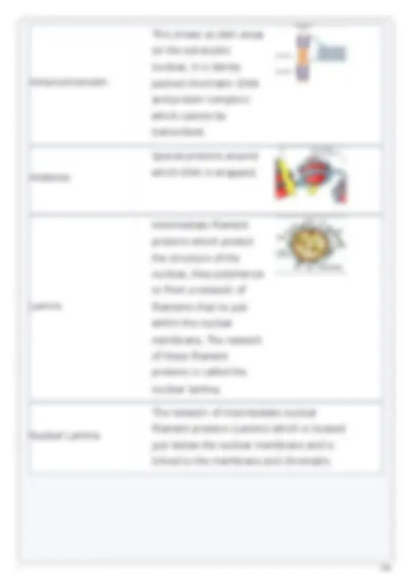 USABO USA BIOLOGY OLYMPIAD PREP GUIDE 2025-2026 TEST | Exams Biology ...