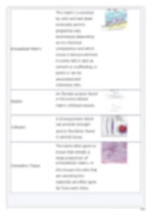 USABO USA BIOLOGY OLYMPIAD PREP GUIDE 2025-2026 TEST | Exams Biology ...